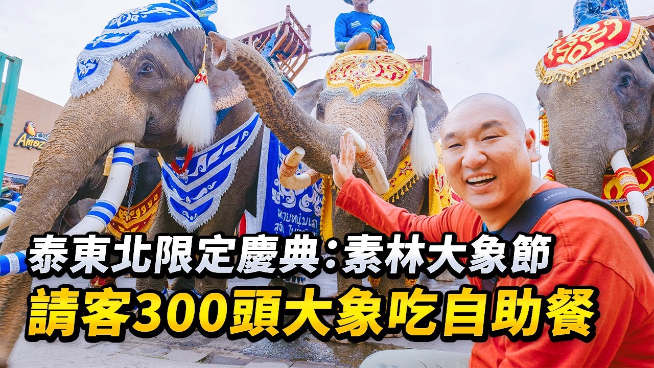 震撼又溫暖，泰國大象節🐘 被300頭大象擁抱是什麼感受？體驗泰國東北部（Isan）最狂野慶典：素林大象節，請全場吃一頓自助餐要花多少錢？｜路客Luke