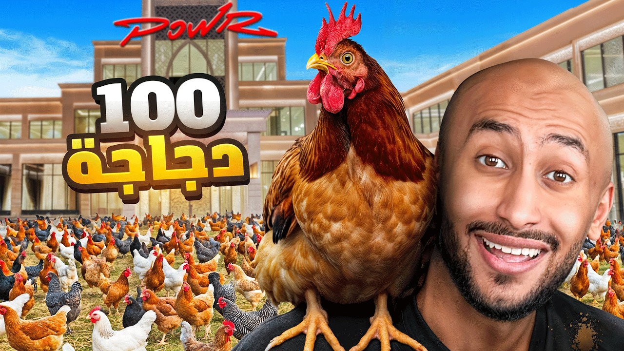 جبت 100 دجاجة في قصر باور 😂! 