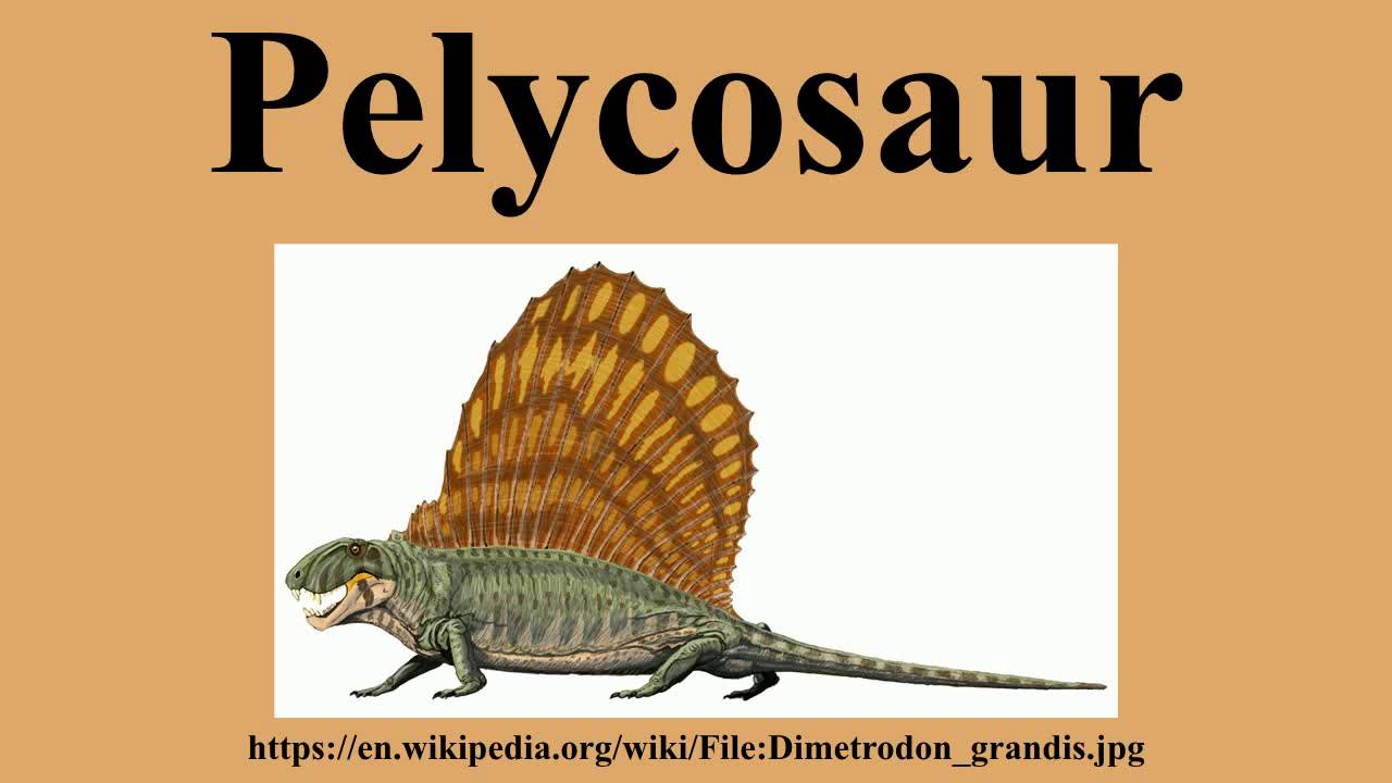 Pelycosaur
