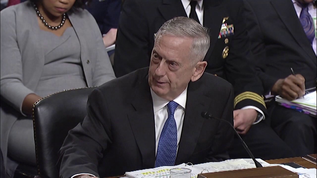 Senator Warren Asks Secretary of Defense Mattis About Cyber Threats