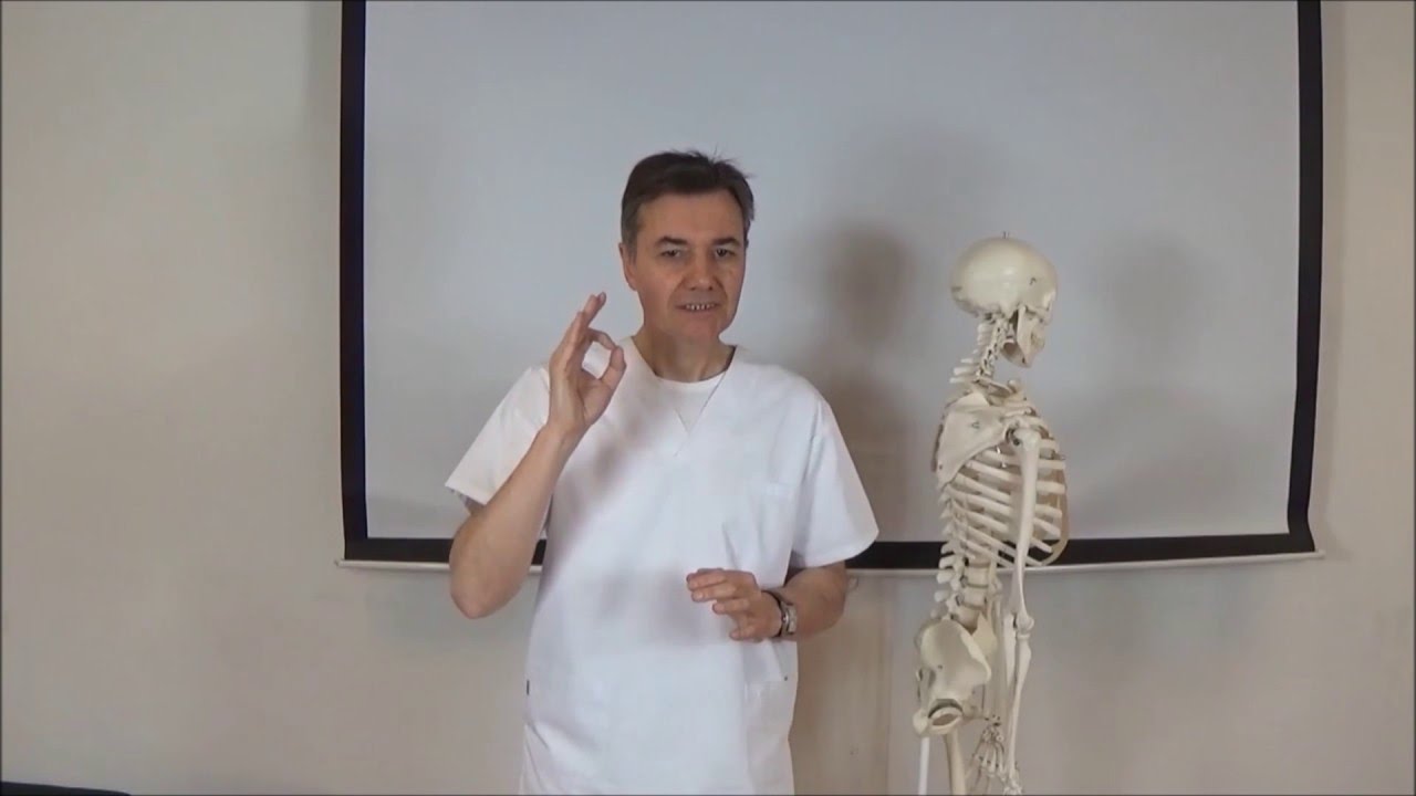 Cervicobraquialgias: Como Tratar la Causa por Fernando Queipo