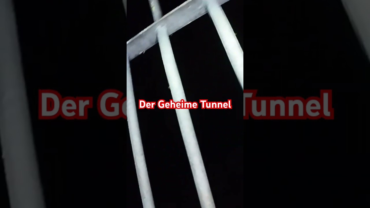 Geheimer Tunnel #shortsfeed #shortsviral #shorts #urbex #urbexer #lostplaces #lostplace #verlassen