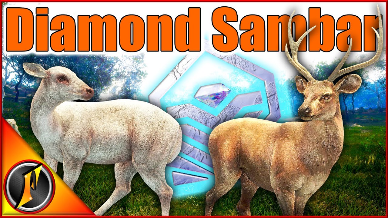 Diamond Sambar & More Trophies from the Emerald Coast!