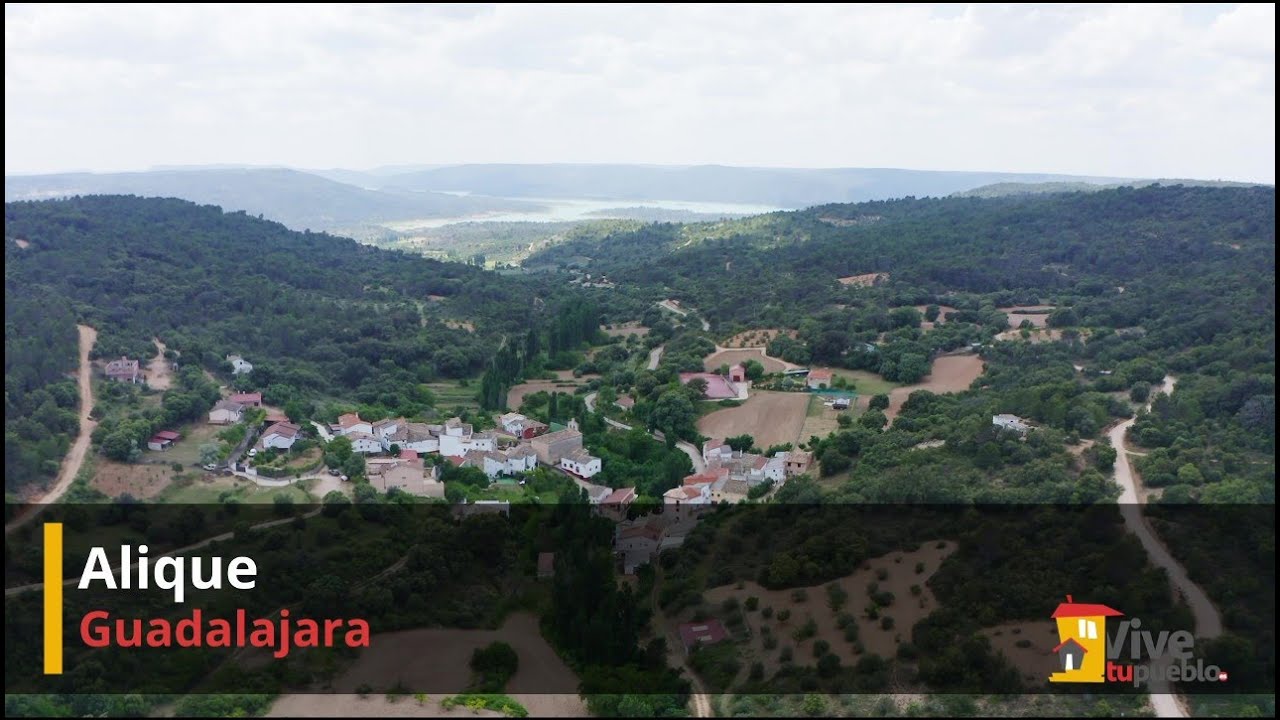 Alique (Guadalajara)