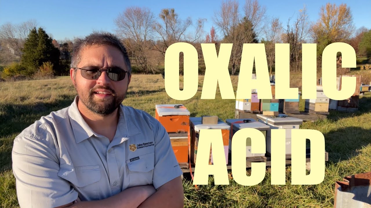 Oxalic Acid Sublimation Vaporization