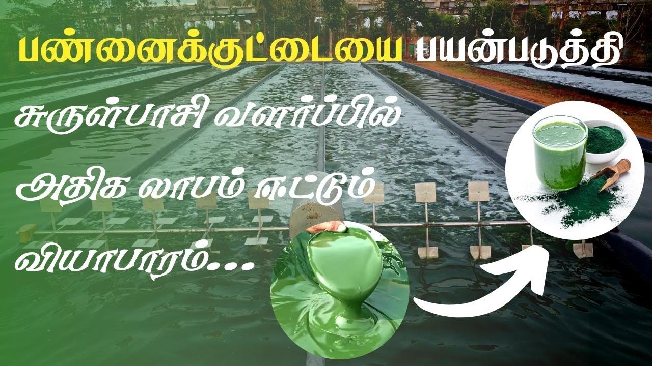 Pondliner uses - Spirulina Farm | Tarpaulin Manufacturer | VJ Materials Mart | Gajawrap