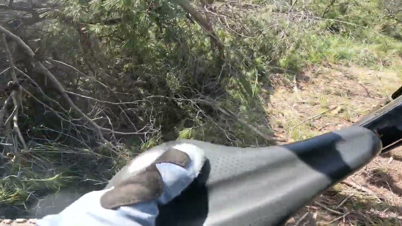 Subiendo a la DH Puente 