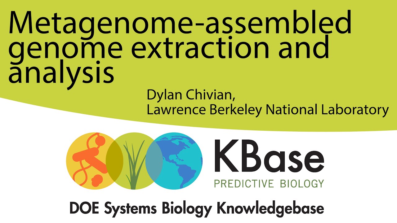 Metagenome-assembled Genome Extraction and Analysis