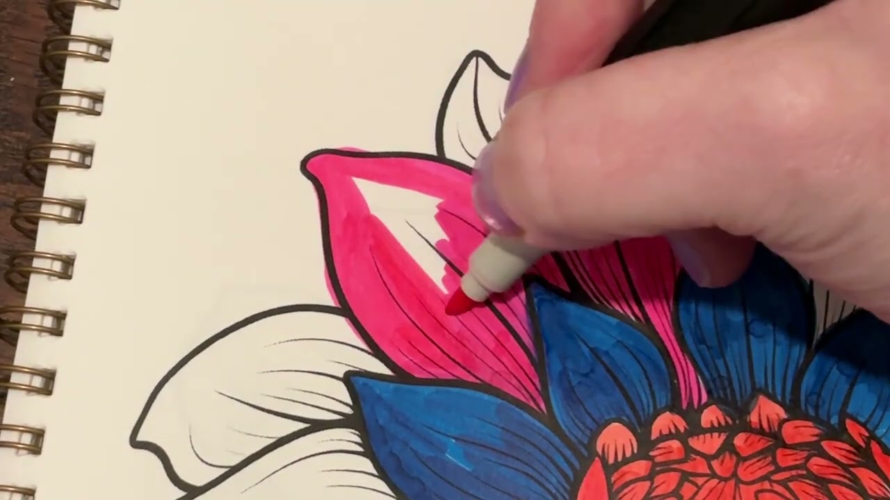 ASMR Lo/Fi Simple Color With Me for Sleep and Stress! xoxoxoxo Thanks My Texas Angels