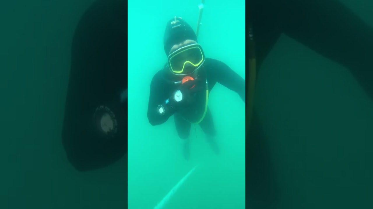 Buzo haciendo descompresi&oacute;n😱 #life #viral  #sea #buzos