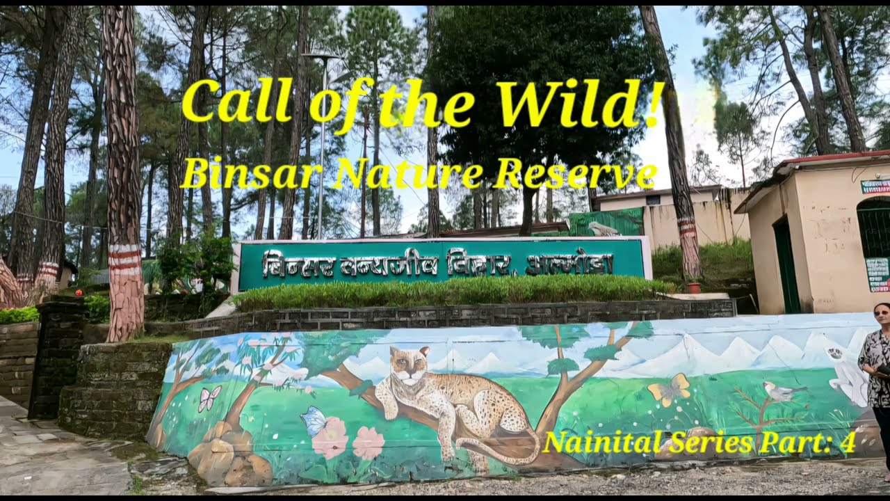 Call of the Wild! Binsar Wildlife Sanctuary 4K #binsar #binsarmahadev