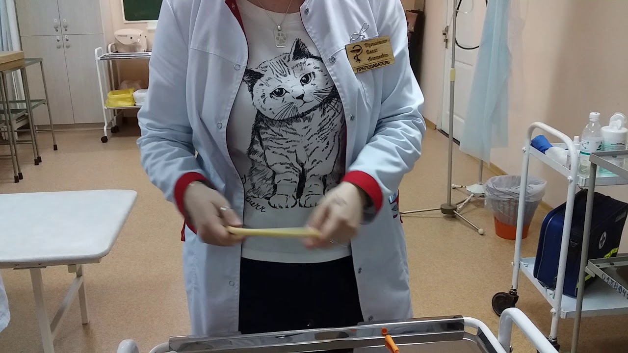 Виды мочевыделительных катетеров