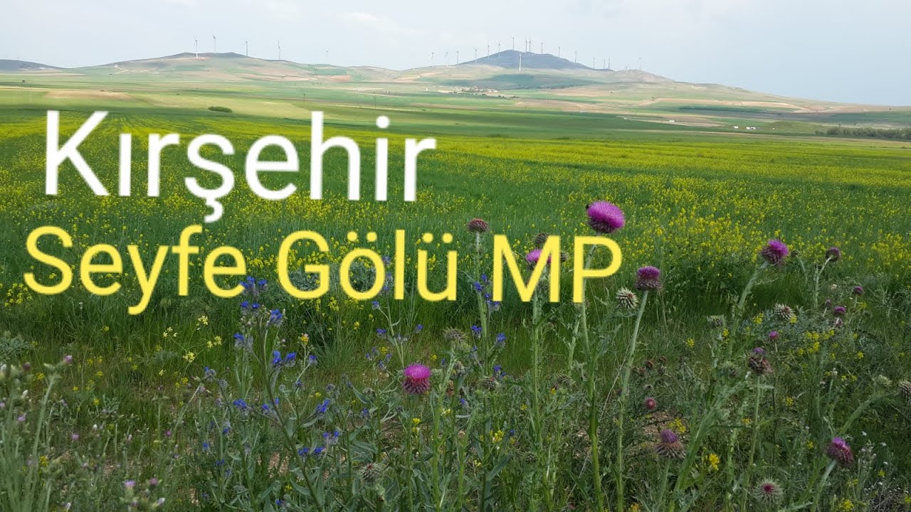 Seyfe Gölü, Kuş Cenneti ve Milli Parkı, Mucur, Kırşehir