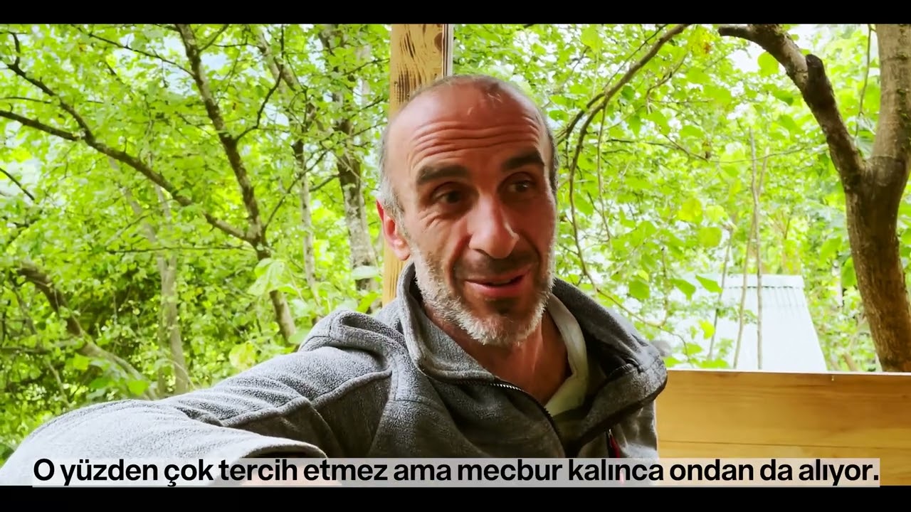 Kafkas arıları, süreci kendileri için çok zor olan kestane balını üretiyorlar.
