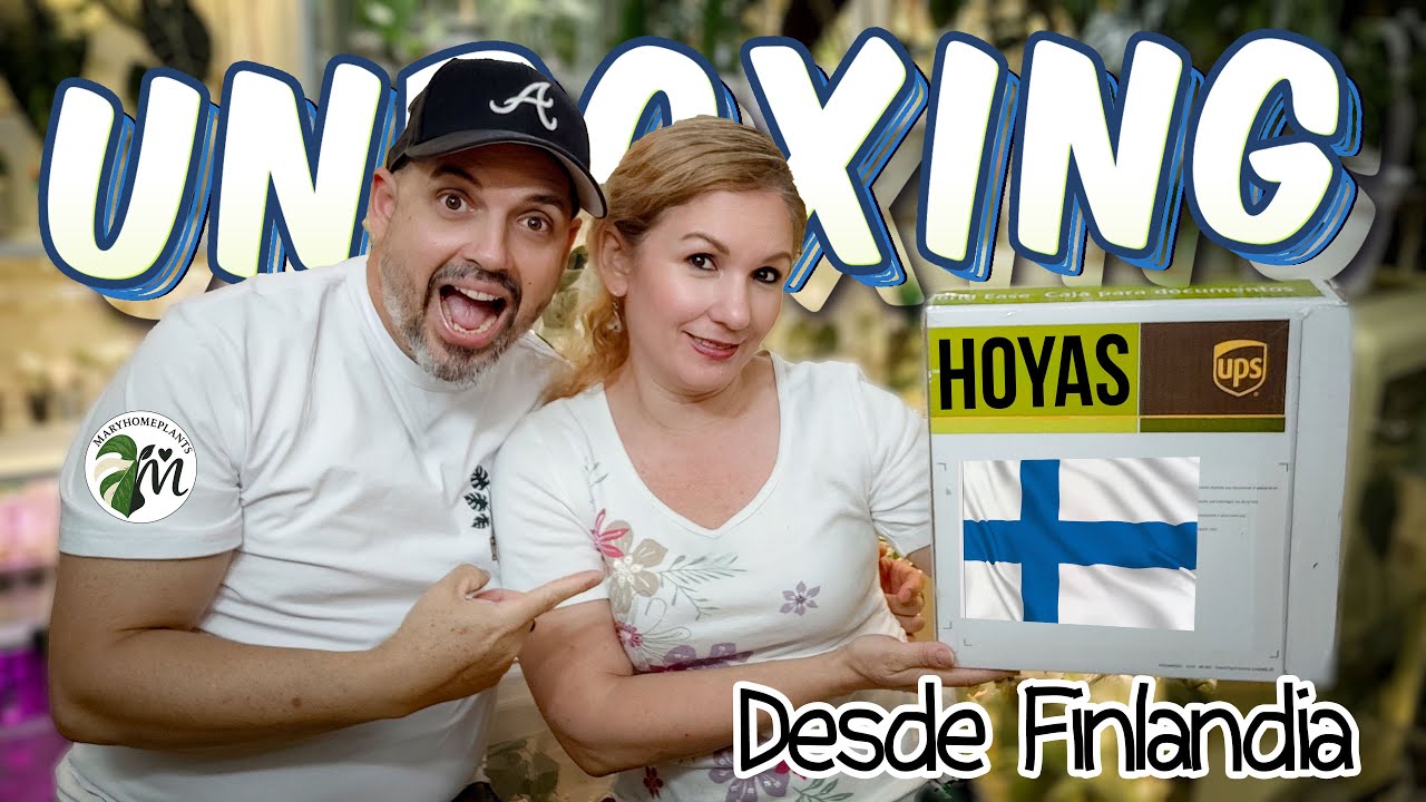 WOW Qué Unboxing de Hoyas Raras más ESPECTACULAR!!! ✨🌿👉 @Oxana Shtraukhman  Desde Finlandia📦🌱