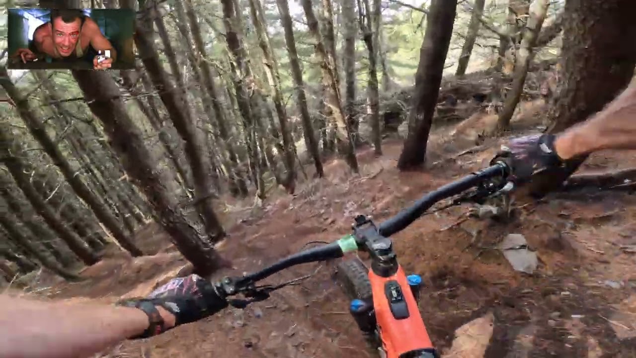 Daimh Hard - Glenlivet Trail Centres