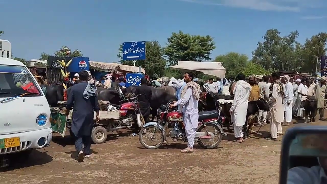مویشی منڈی کنجاہ گجرات