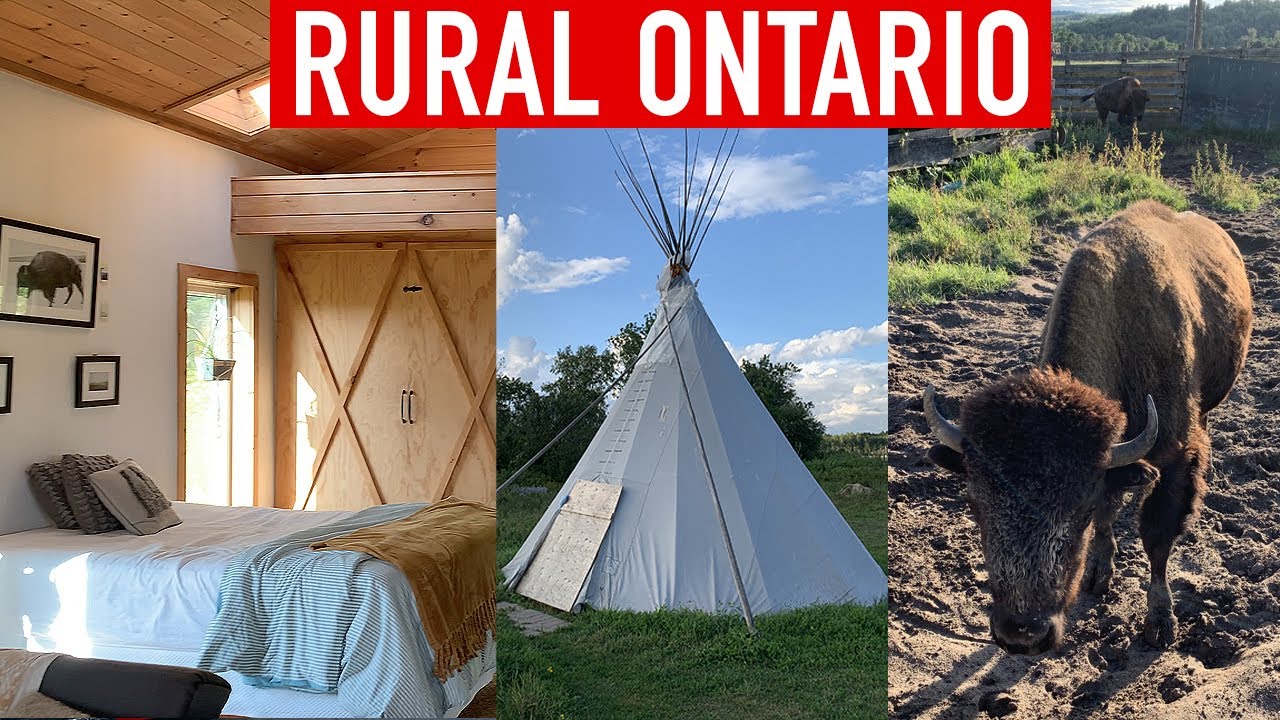 We Stayed at a Buffalo Farm in Canada. Northern Ontario.