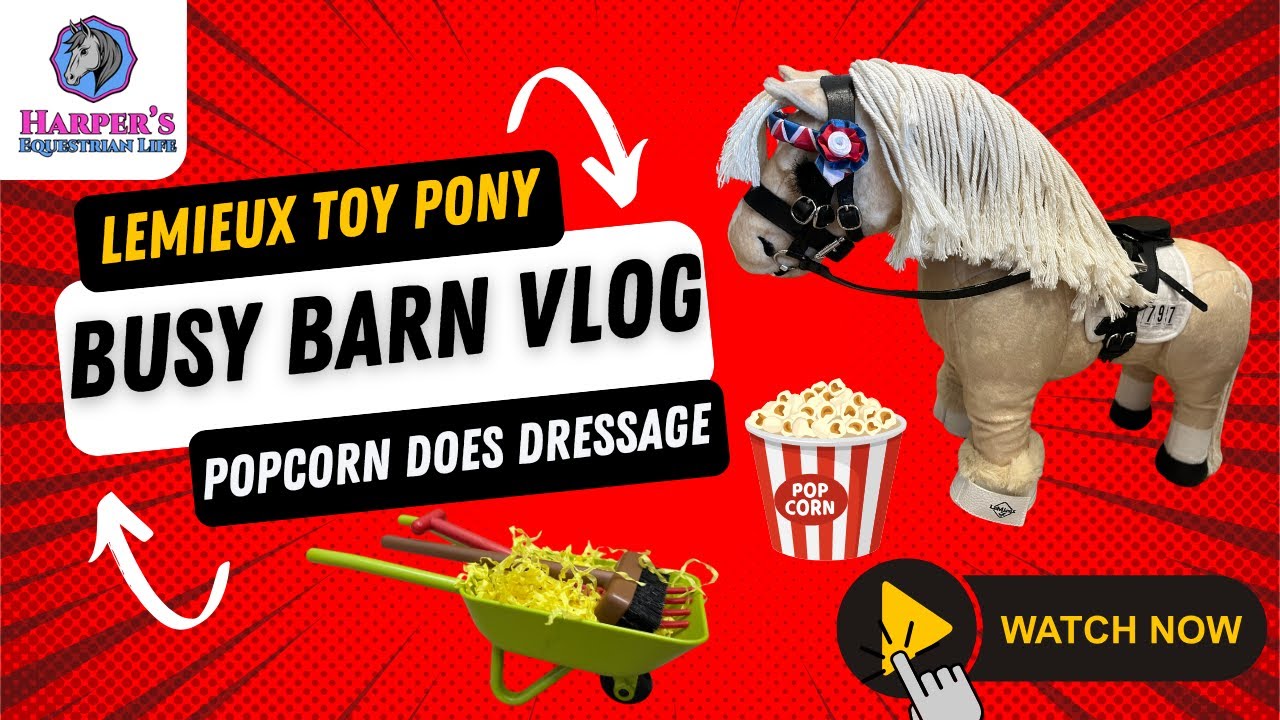 🌟Mini LeMieux Toy Pony Vlog 🐎 | Popcorn Does Dressage & Tack Cleaning