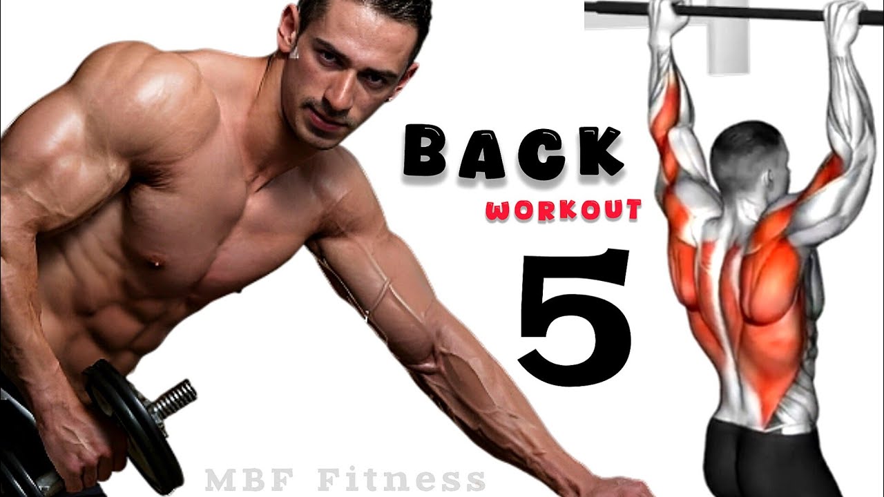 Perfect Back Exercises (Best Back Workout) For Strength & Muscular Back – GYM