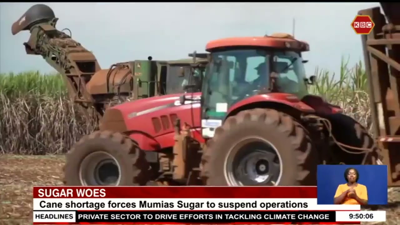 Mumias Sugar has suspended its operations due to sugar cane shortage.