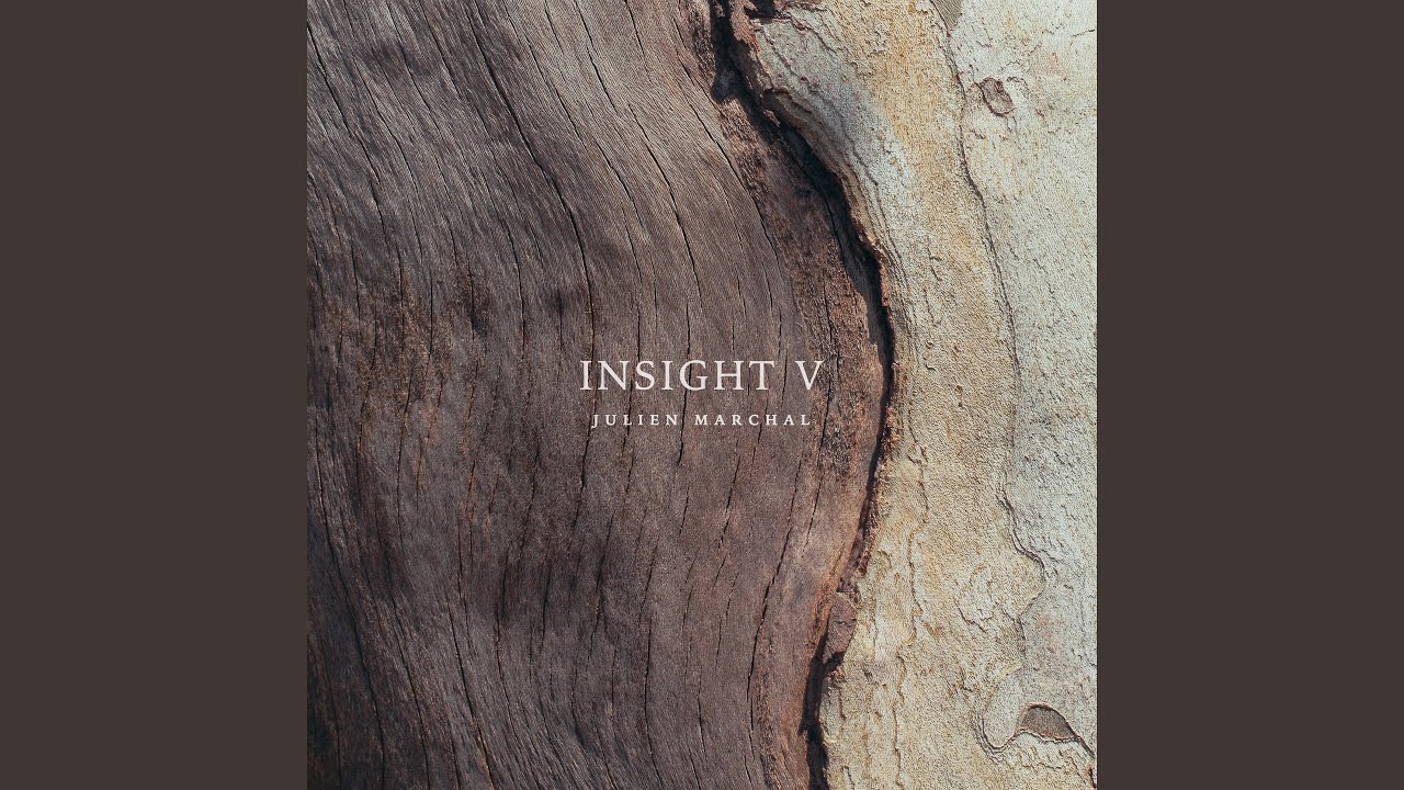 Insight XLIV