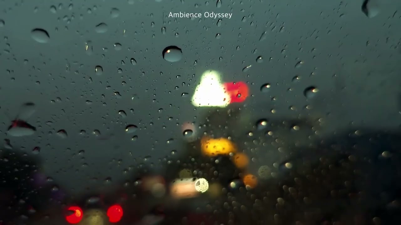 ASMR 도시의 퇴근길, 비내리는 차 안에서