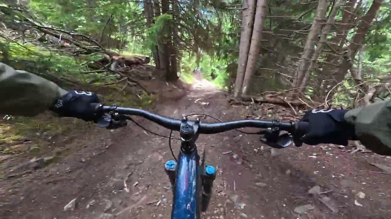 3 Länder Enduro Trails Bunkertrail