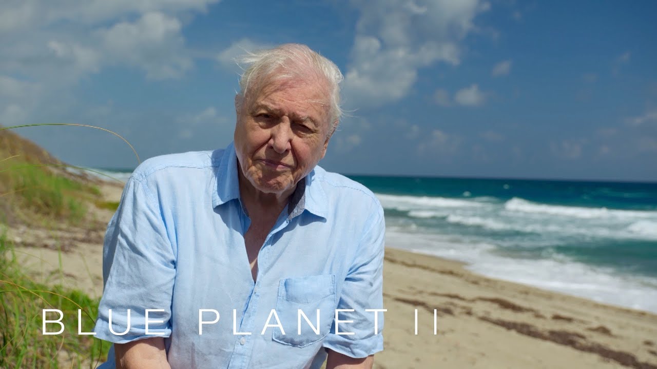 A message from Sir David Attenborough - Blue Planet II: Episode 7 - BBC