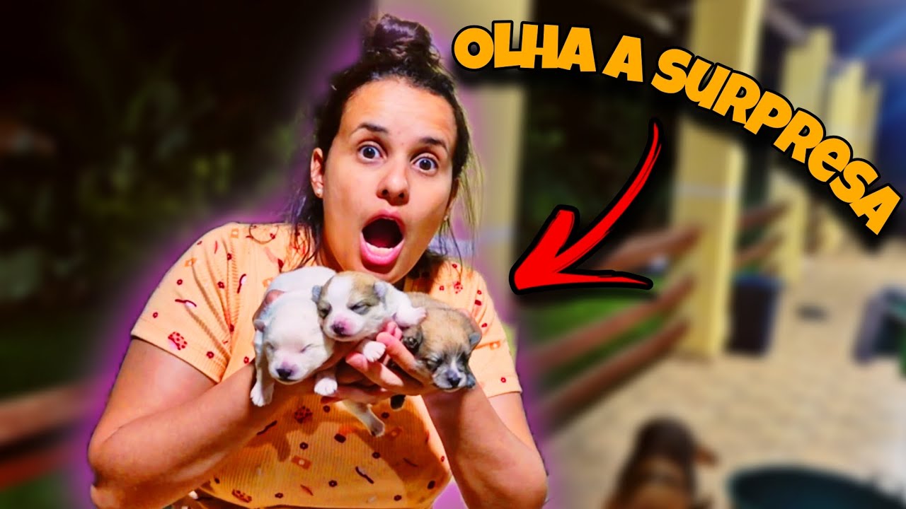 OLHA A SURPPRESA QUE TIVEMOS- familia de graça 