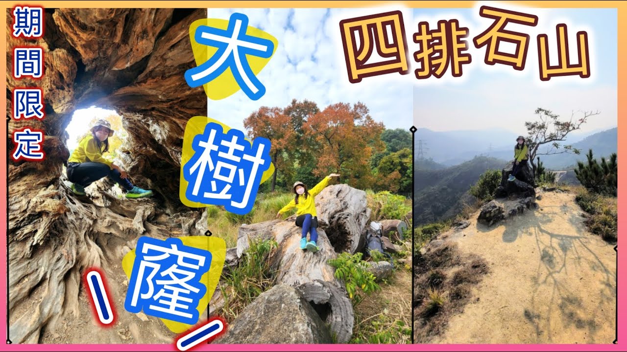 【 CP值高🥰l 多景點| 楓葉 🍁 】大樹窿打卡丨粉色深谷「井坑沖溝」😍，震撼! 丨連走