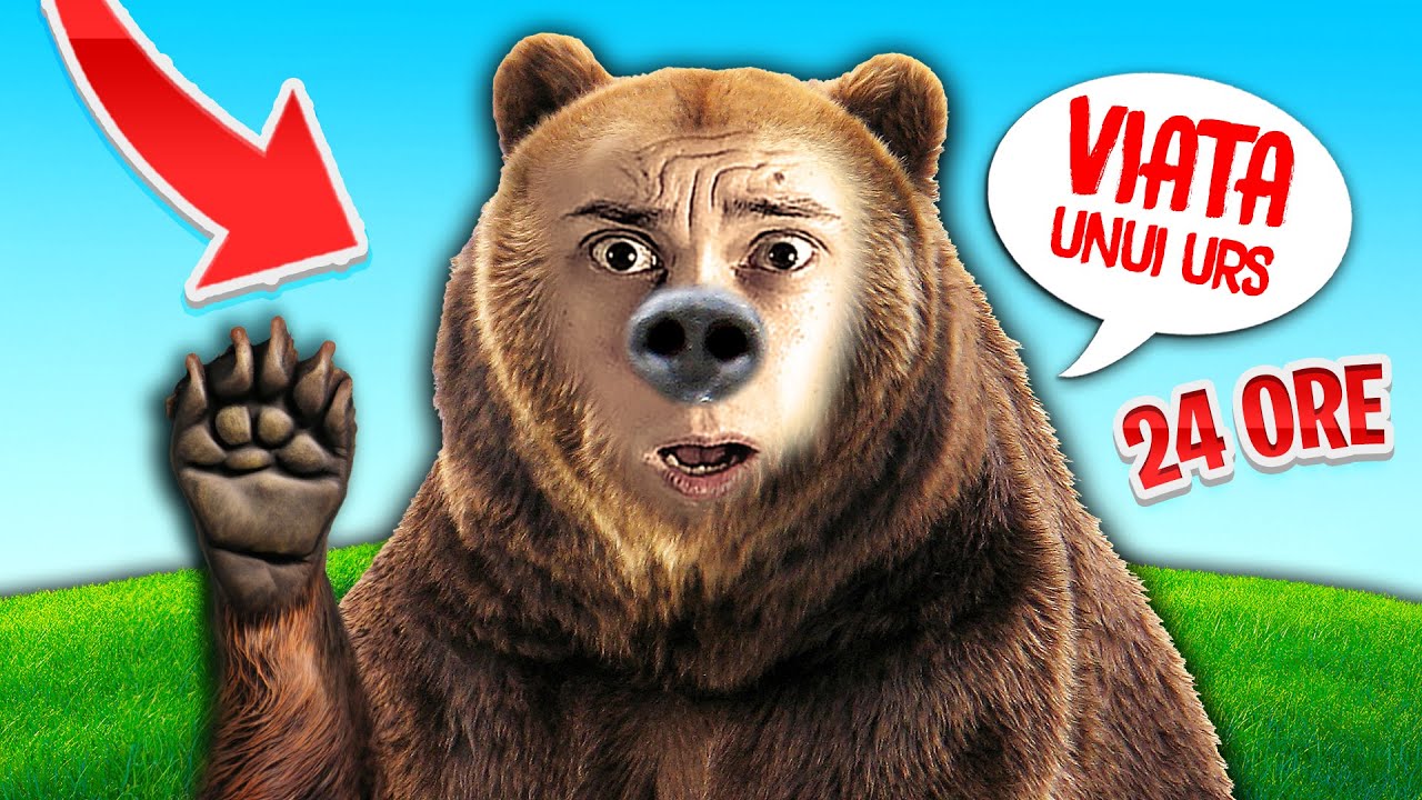 VIATA unui URS 24 DE ORE! Ce ?