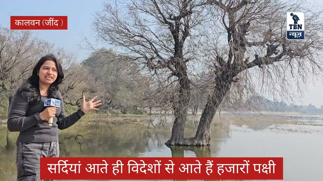 हरियाणा में जींद जिले के इस गाँव में आते है विदेशी पक्षी, गर्मी आते ही चले जाते है