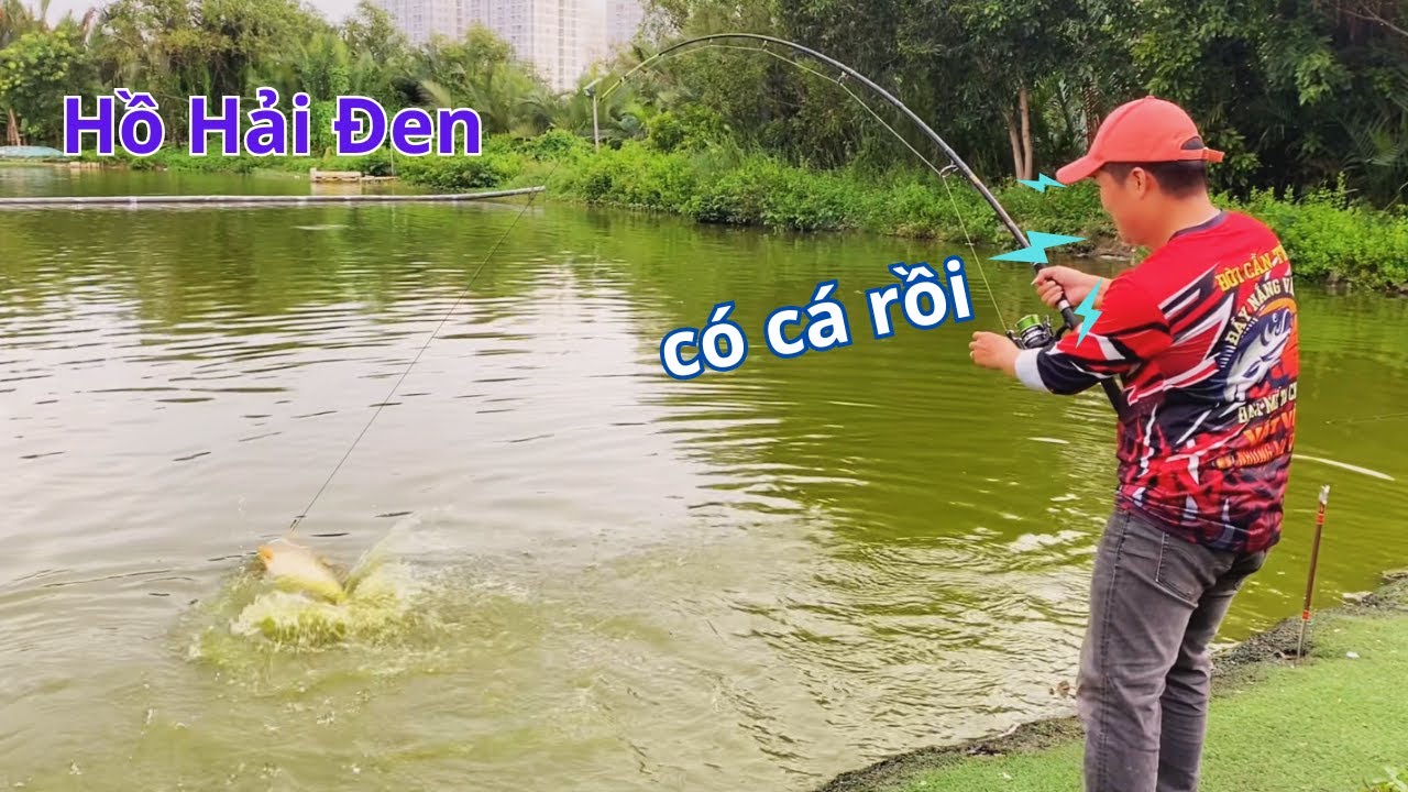 tập câu cá tra tại hồ Hải Đen bằng bún trắng chua thơm cá ăn lúp xúp