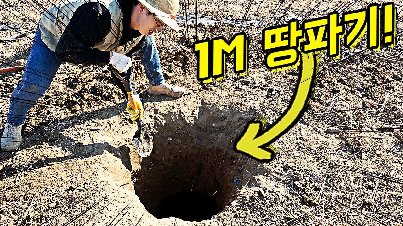 1M 땅 속에는 어떤 생물이?