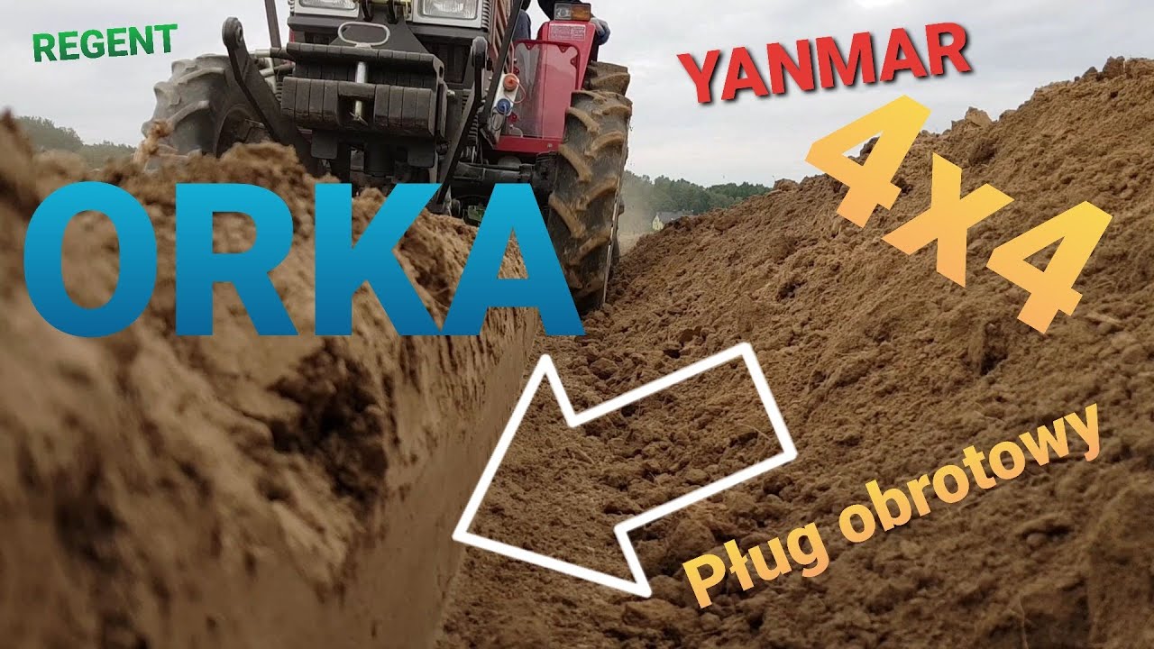 ORKA POD PSZENICE & YANMAR 4x4