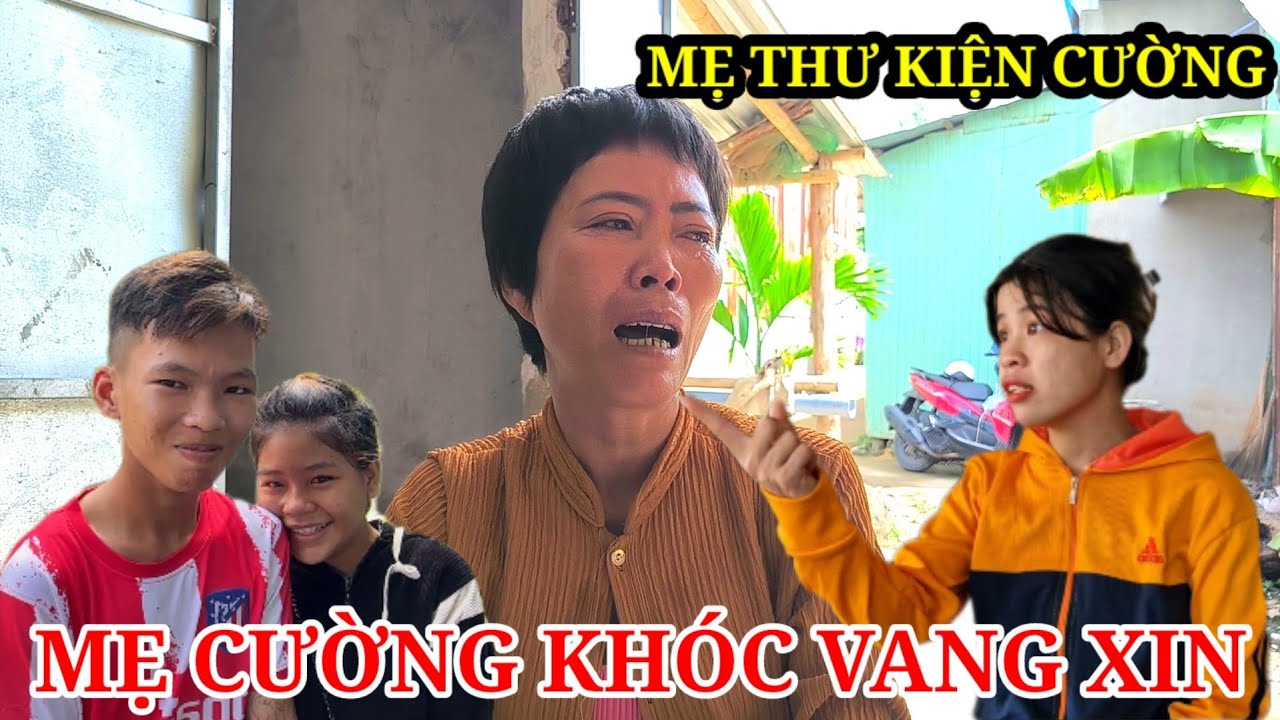 Mẹ Cường Khóc Vang xin Mẹ Thư xin tha đừng kiện gia đình tôi | Minh Tơ TV
