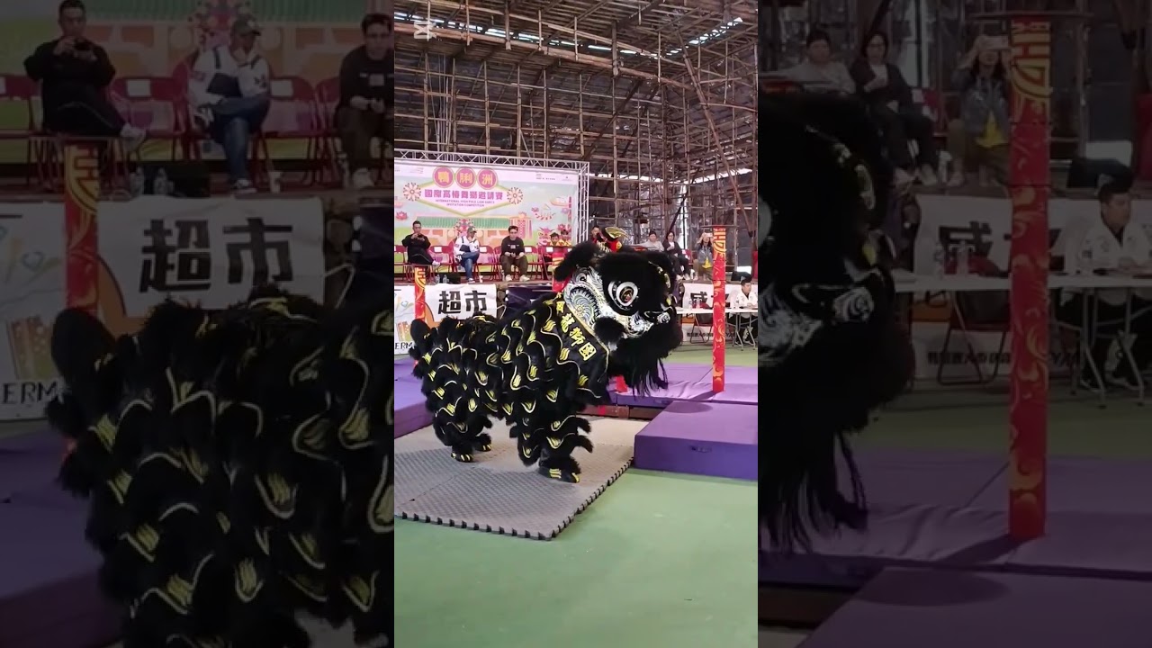 鴨脷洲洪聖傳統文化節2026「國際高樁舞獅邀請賽」馬來西亞新街場華人體育會龍獅團 The Ap Lei Chau Hung Shing Cultural Festival, Hong Kong.