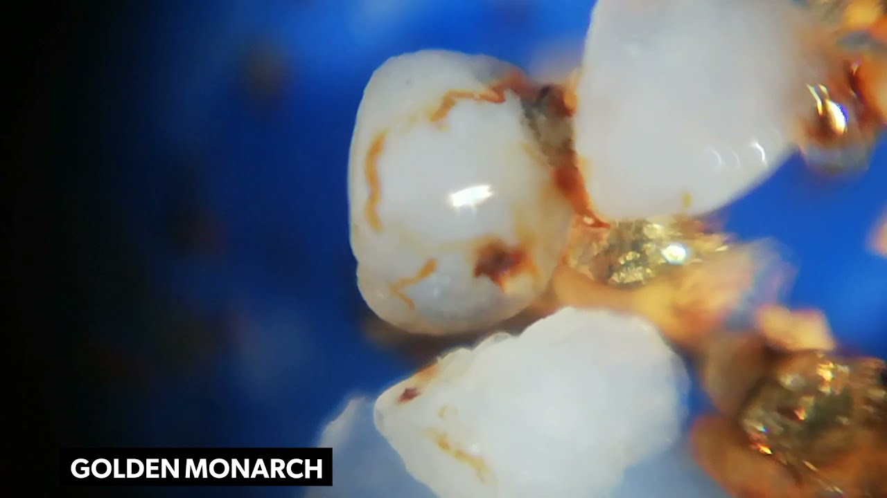 Gold On Arsenopyrite