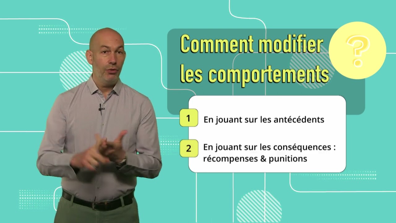 Comportement 2: Les bases du comportement