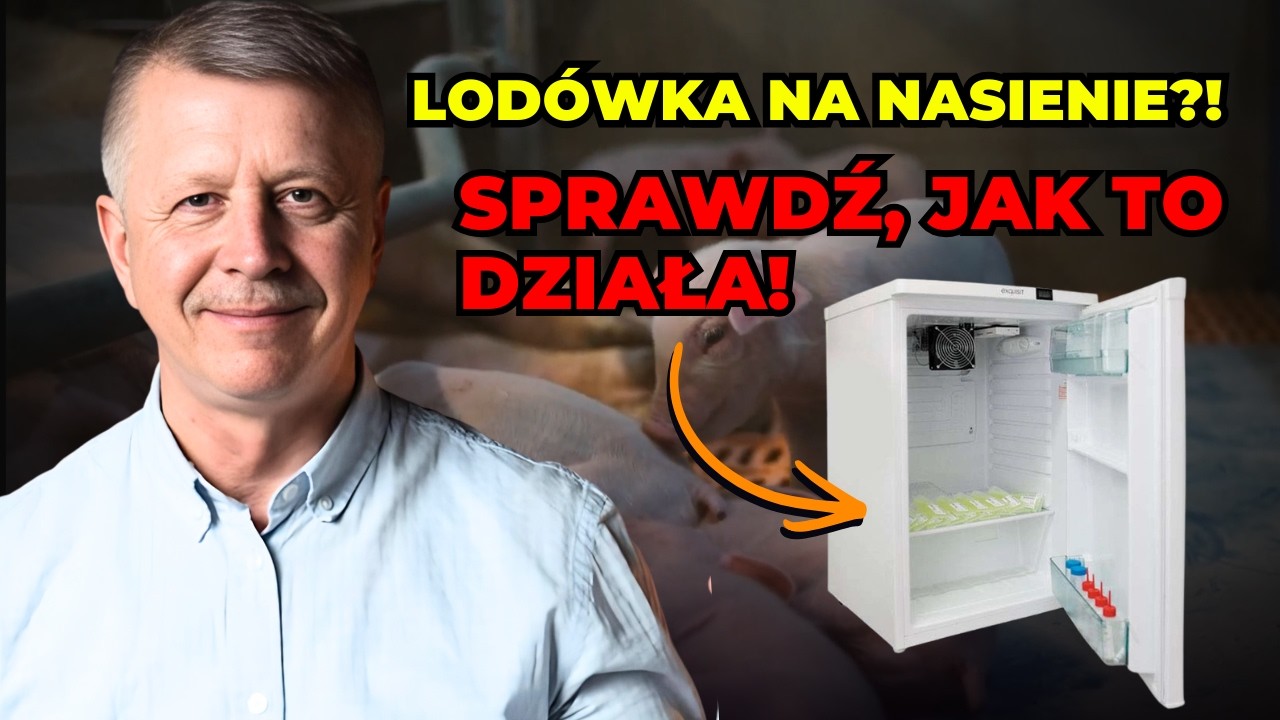 Lodówka do nasienia knura = wydajna hodowla | FarmShop