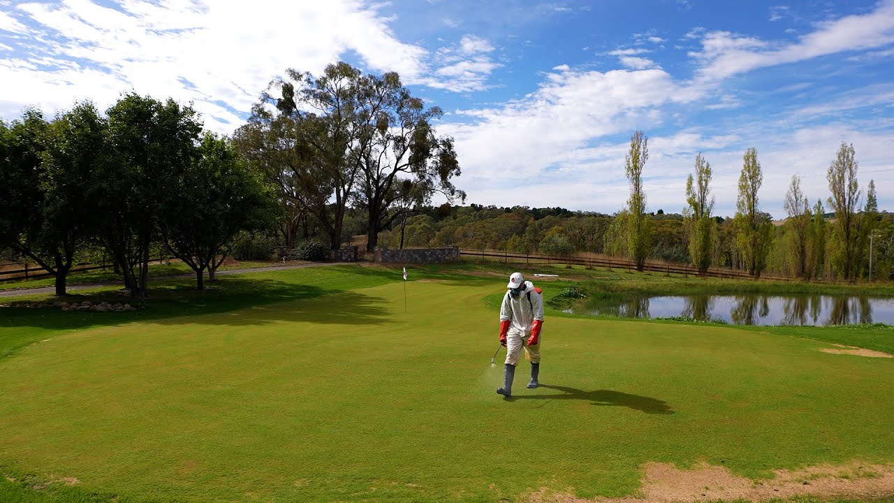 Damage To My Golf Green Already?! Here’s How I'm Fixing it…