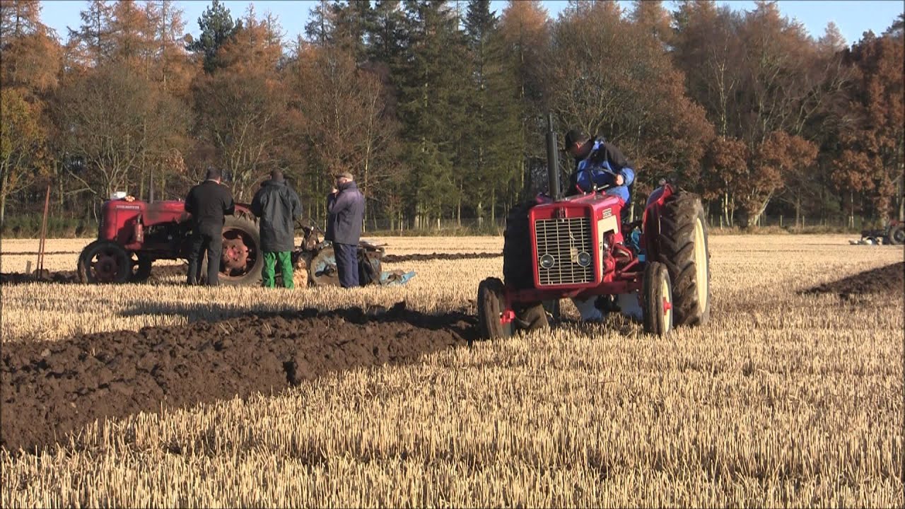 International 434 @ Forfar Ploughing 1, 2012. Re-posted.