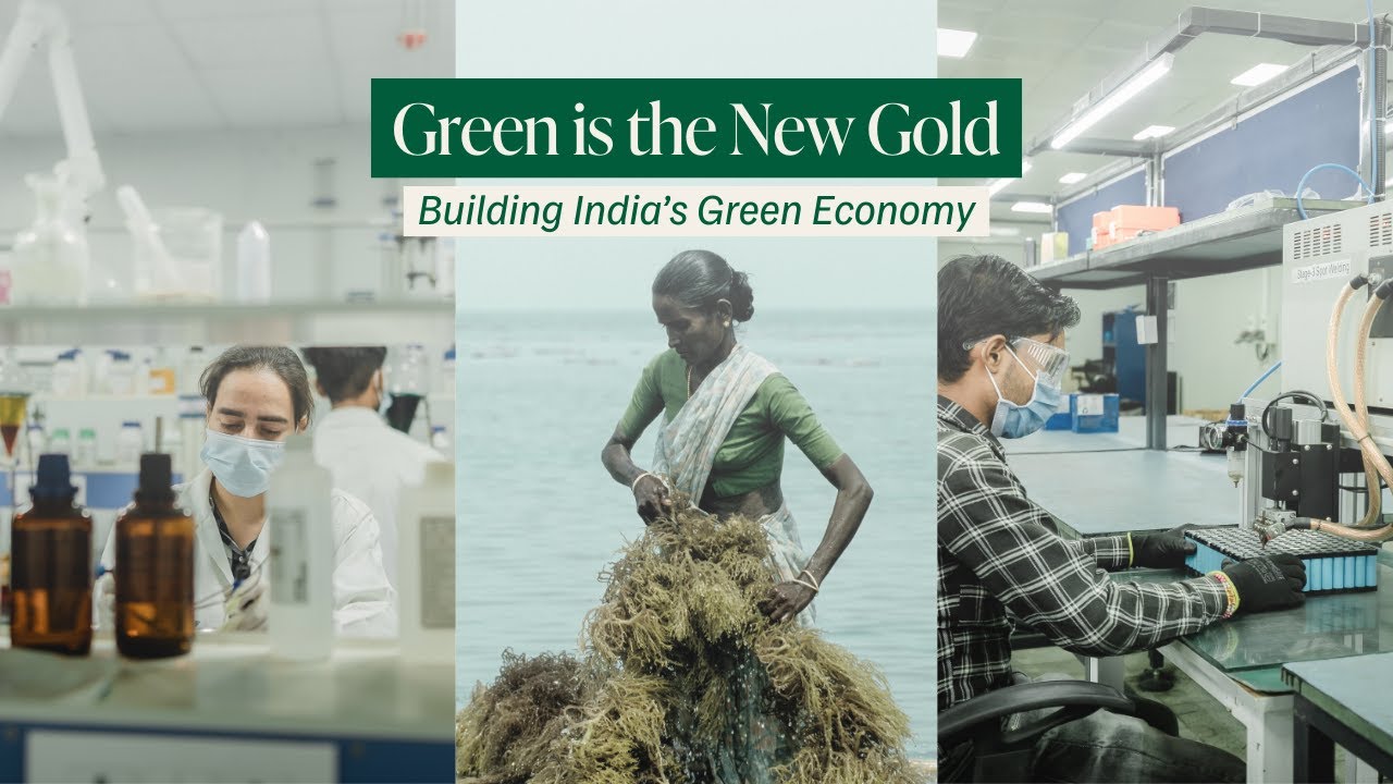 Green is the New Gold: Building India’s Green Economy