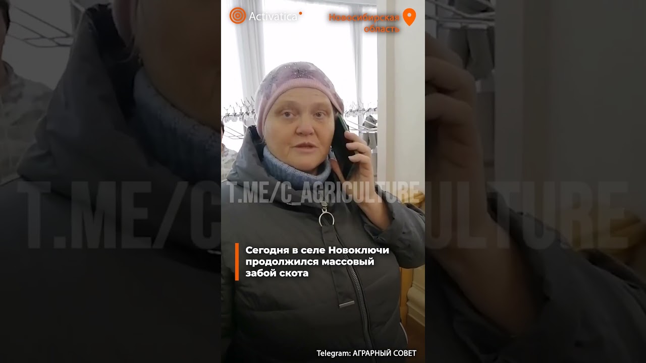 🟠Министр в Сибири убежал от хозяйки уничтоженного скота #новосибирск #новоключи #скот