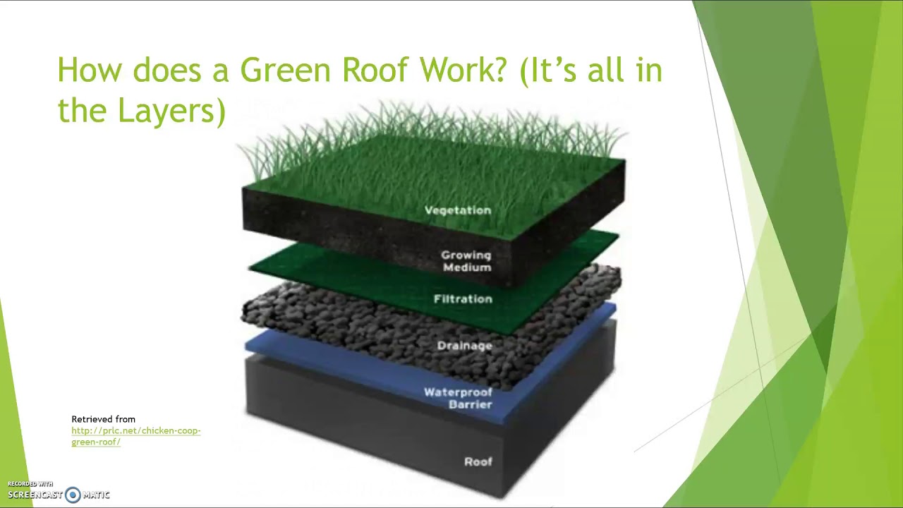 Green Roof Presentation