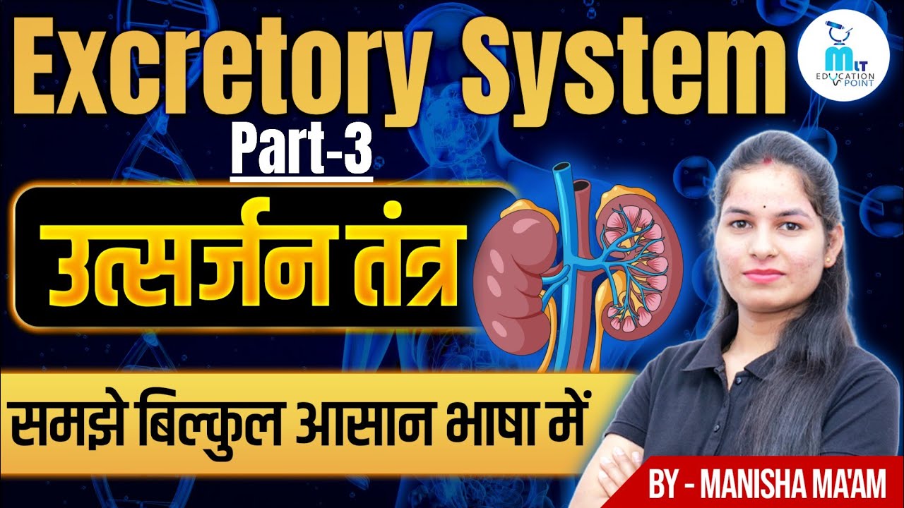 Excretory System in Hindi Part - 3 | उत्सर्जन तंत्र | Structure & Function | by Manisha Ma'am