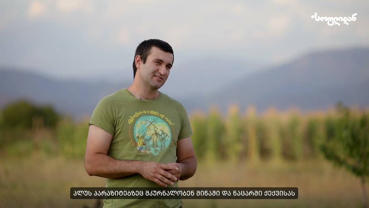 ბედნიერი ქათმის ფერმა