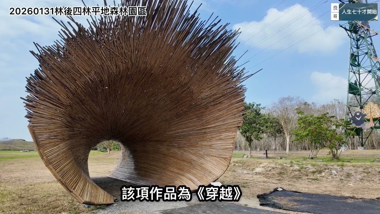 20260131林後四林平地森林園區