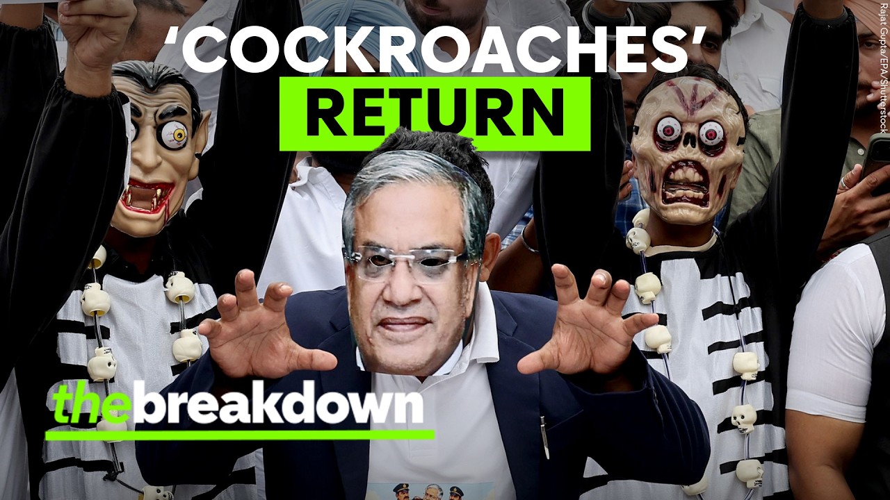 India&rsquo;s &lsquo;cockroaches&rsquo; are BACK - now they&rsquo;re fighting for the vote